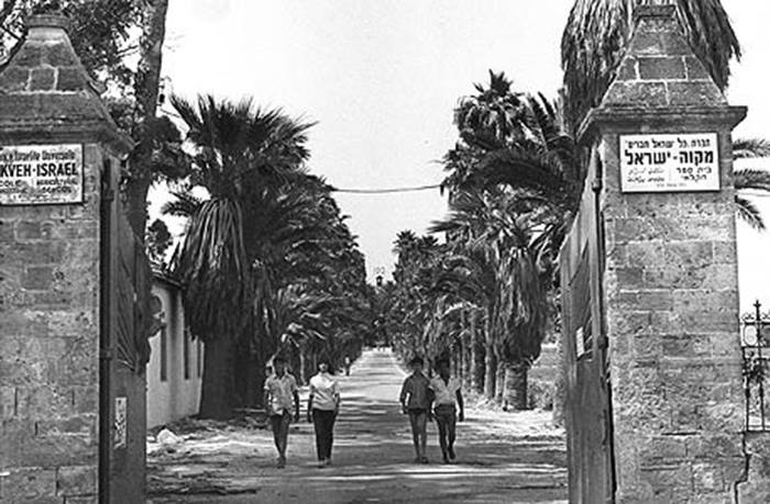 7. מקווה ישראל